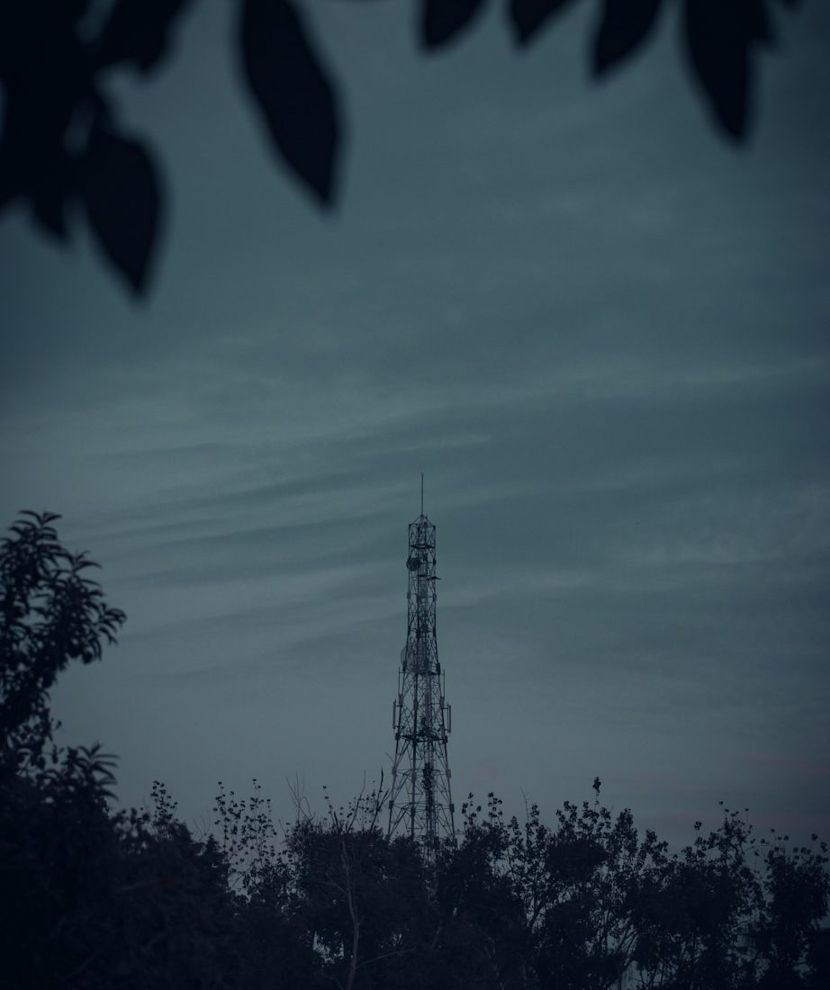 a tower in the middle of a forest at night